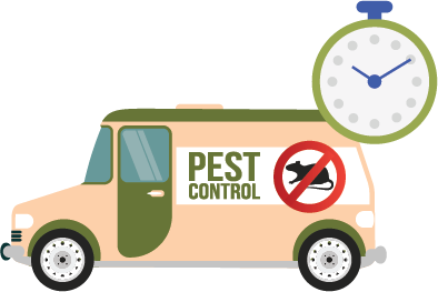 pest control image-4