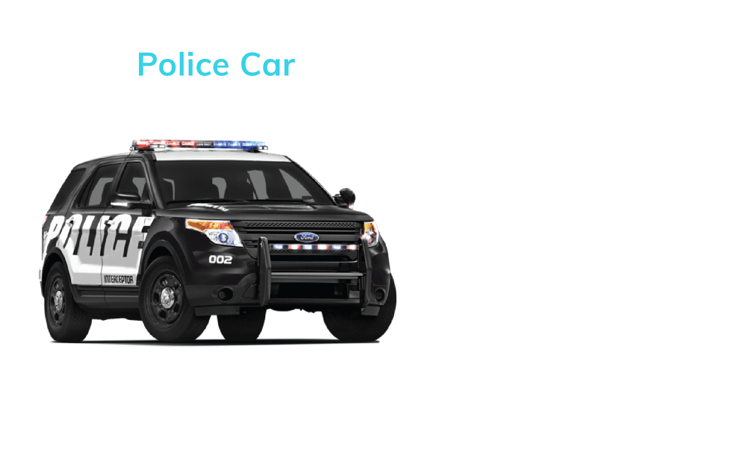 Police Car