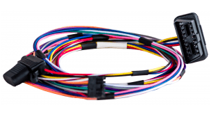 Ruptela OBDII Harness