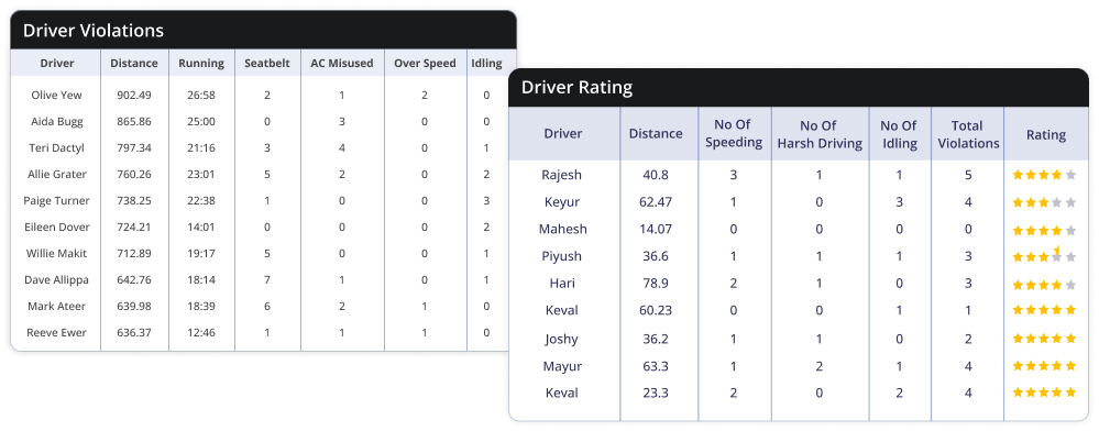 video telematics reports