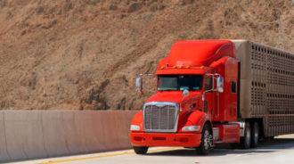 dvir-trucking-main-mobile