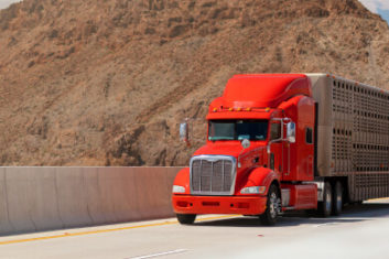 dvir-trucking-main-mobile